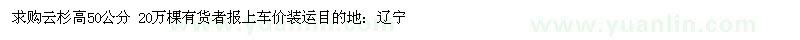 求購云杉高50公分 20萬棵