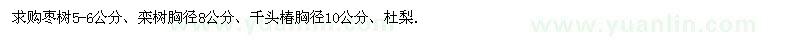 求購棗樹、欒樹、千頭椿、杜梨