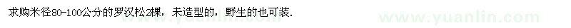 求購米徑80-100公分的羅漢松2棵