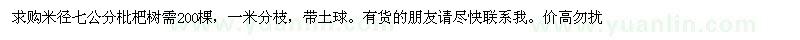 求購枇杷苗