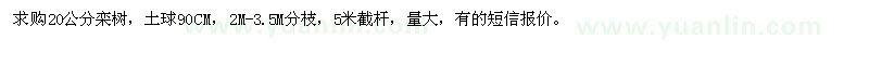 求購20公分欒樹