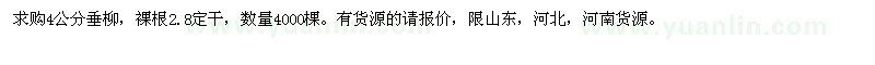 求購(gòu)4公分垂柳