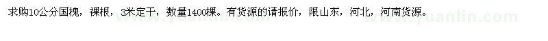 求購10公分國槐