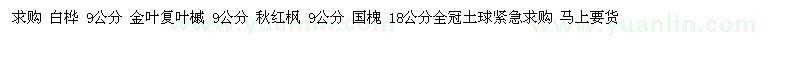 求購白樺 9公分  金葉復(fù)葉槭 9公分