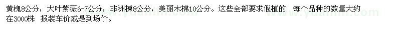 求購黃槐、大葉紫薇、非洲楝、美麗木棉