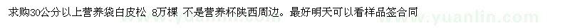 求購30公分以上營養(yǎng)袋白皮松 8萬棵