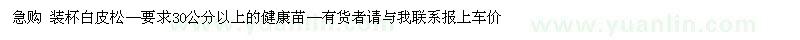 求購裝杯白皮松—要求30公分以上的健康苗