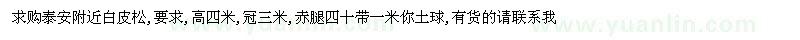 求購(gòu)泰安附近白皮松,要求,高四米,冠三米