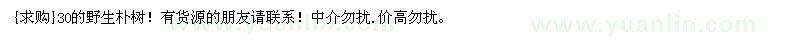 求購30的野生樸樹
