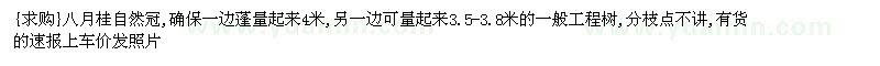求購(gòu)八月桂自然冠,確保一邊蓬量起來(lái)4米