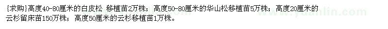 求購高度40-80厘米的白皮松 移植苗2萬株