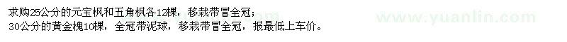 求購(gòu)元寶楓,五角楓,黃金槐