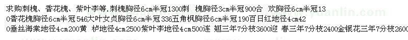 求購(gòu)刺槐、香花槐、紫葉李等