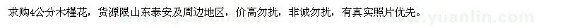 求購4公分木槿花