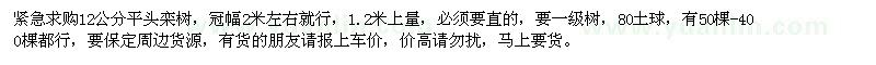 求購12公分平頭欒樹