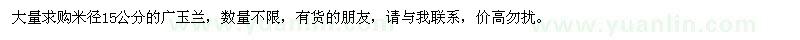 求購米徑15公分的廣玉蘭