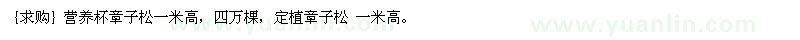 求購(gòu)營(yíng)養(yǎng)杯章子松一米高，四萬(wàn)棵