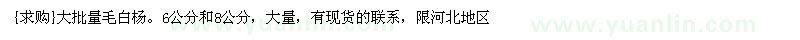 求購大批量毛白楊 大量