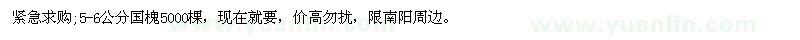求購5-6公分國槐 