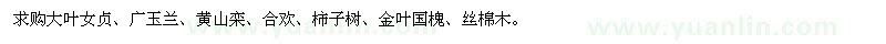求購(gòu)大葉女貞、廣玉蘭、黃山欒、合歡、柿子樹(shù)、金葉國(guó)槐、絲棉木