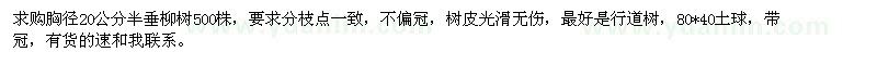求購半垂柳樹
