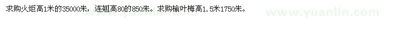 求購火炬高1米，連翹