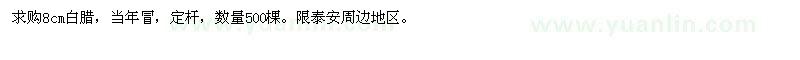 求購8cm白臘 