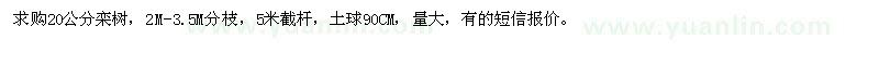 求購20公分欒樹 