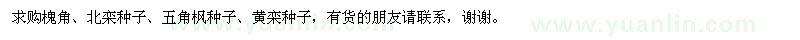 求購槐角,北欒種子,五角楓種子,黃欒種子