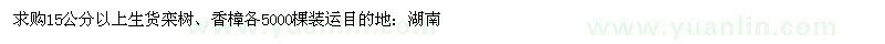 求購15公分以上生貨欒樹、香樟各5000棵