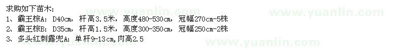 求購霸王棕、多頭紅刺露兜