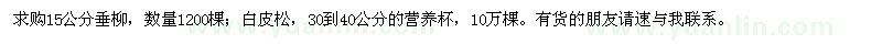 求購15公分垂柳,白皮松