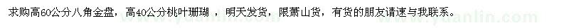 求購八角金盤,桃葉珊瑚