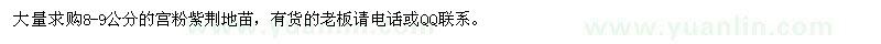 求購8-9公分的宮粉紫荊