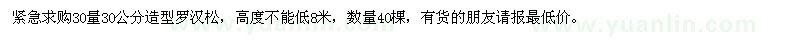 求購(gòu)30公分造型羅漢松