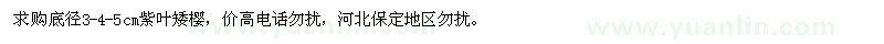 求購底徑3-4-5cm紫葉矮櫻
