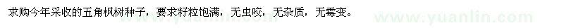 求購五角楓種子