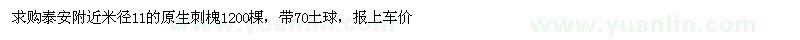 求購原生刺槐
