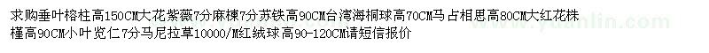 求購垂葉榕柱　大花紫薇　麻楝　蘇鐵　臺(tái)灣海桐球等綠化苗