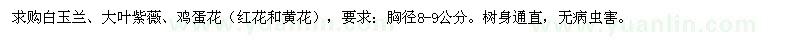 求購白玉蘭、大葉紫薇、雞蛋花