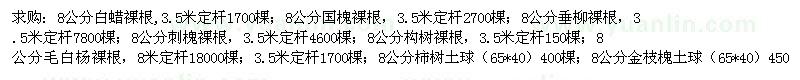 求購白蠟　國槐　垂柳　構(gòu)樹　刺槐　毛白楊　柿樹　金枝槐