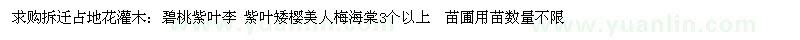 求購拆遷占地花灌木：碧桃 紫葉李 紫葉矮櫻 美人梅 海棠3個以上