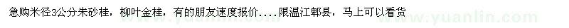 求購米徑3公分朱砂桂，柳葉金桂