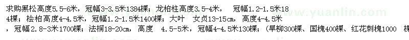 求購黑松 龍柏 檜柏