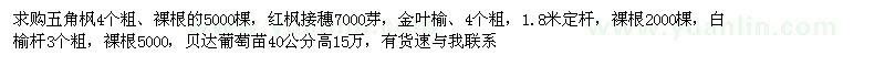求購(gòu)五角楓　紅楓接穗　金葉榆