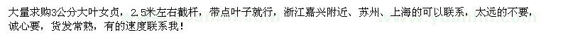 求購3公分大葉女貞1萬多棵