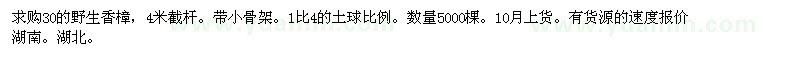 求購30的野生香樟