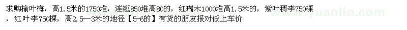 求購榆葉梅，連翹，紅瑞木