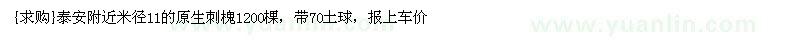 求購泰安附近米徑11的原生刺槐1200棵