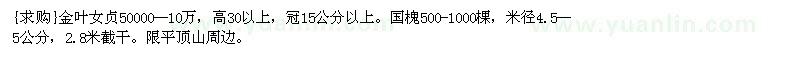 求購金葉女貞50000--10萬。國槐500-1000棵